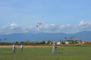 00116Finale F5J 2019